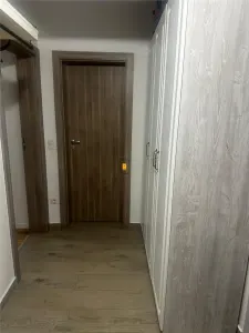 Inchiriere apartament  2 camere zona Albert - foto 3