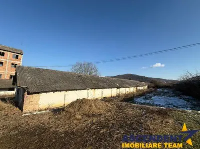 Spatiu comercial/ Industrial multifunctional: productie,depozitare,logistica,Raciu,Mures. - foto 4