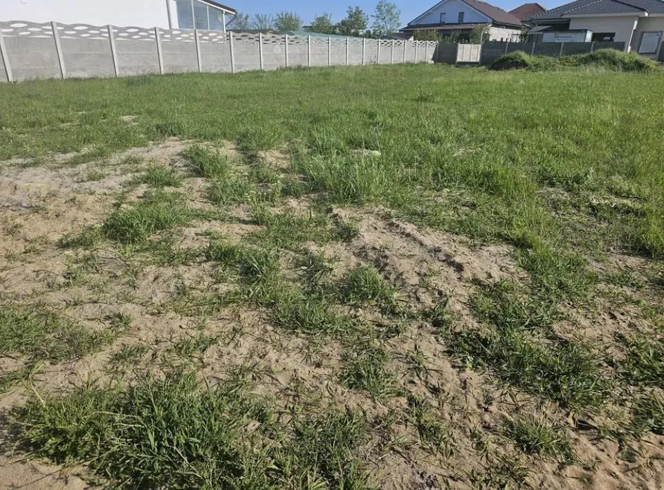 Teren-MOSNITA VECHE- 2 FRONTURI STRADALE -TOATE UTILITATILE - foto 2