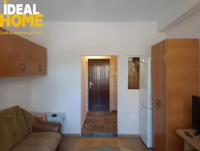 Camera Camin Piata Nicolina bulevard etaj 1 - foto 2