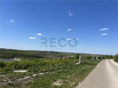 RECO Casa 3 camere lux in Paleu - foto 9