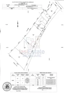 Badeni com Scobinti  Iasi Teren 4239mp  parcelabil si constructii 245mp - foto 2