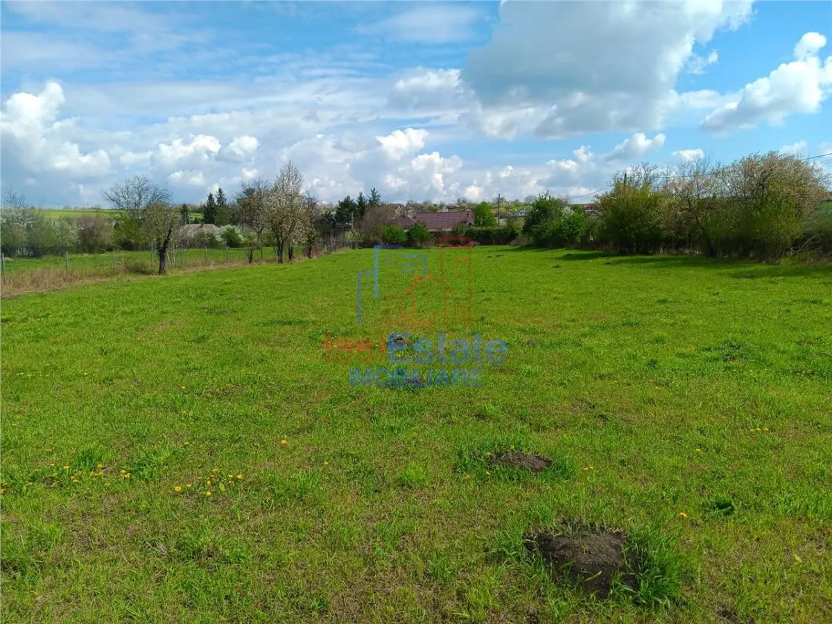 Badeni com Scobinti  Iasi Teren 4239mp  parcelabil si constructii 245mp - foto 6