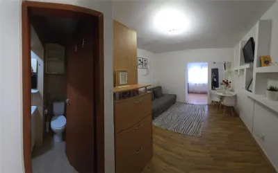 APARTAMENT 1 CAMERA - mobilat si utilat , semidecomandat - Timisoara