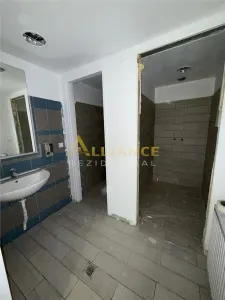[PARCUL CAROL] Spatiu Comercial P + 1 | 233 MPU - foto 10