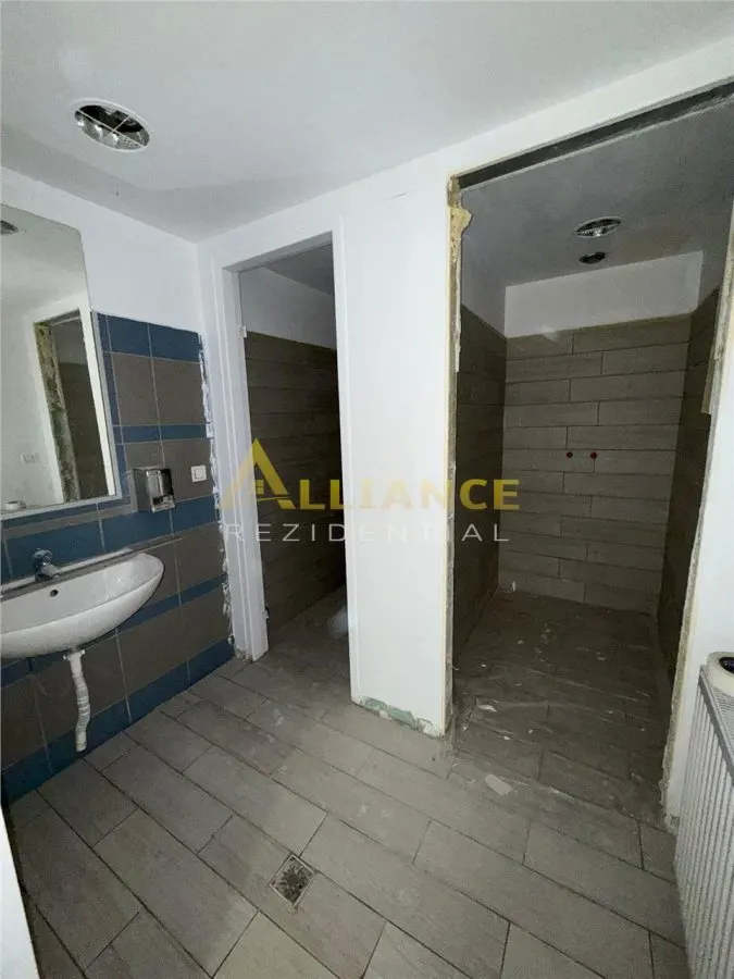 [PARCUL CAROL] Spatiu Comercial P + 1 | 233 MPU - foto 10