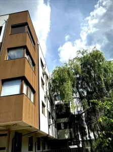 Apartament cu 2 Camere Decomandat | Pet Friendly | Palas - foto 8