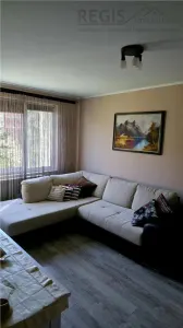 Apartament de inchiriat 2 camere Bulevardul Victoriei - Centrul Nou - foto 3