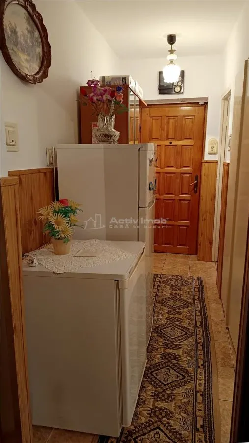 Moldova Noua, Apartament 2 Cam. Semidecomandat - foto 16