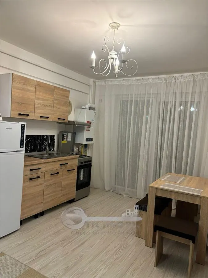 2 CAM PRIMA INCHIRIERE OPEN SPACE BUCIUM VISAN - foto 2