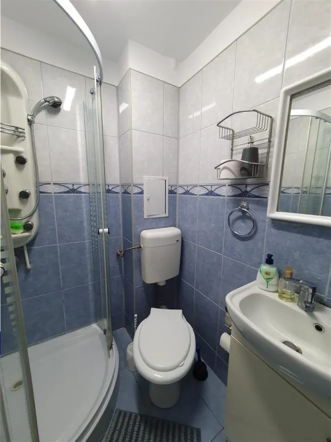 Decebal-Voronet, apartament tip studio, centrala proprie, mobilat-utilat, ideal investitie - foto 20