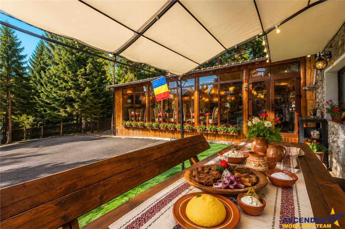 Descopera oportunitatea! Imobiliar&Transfer Business in inima statiunii Poiana Brasov, Romania - Brasov