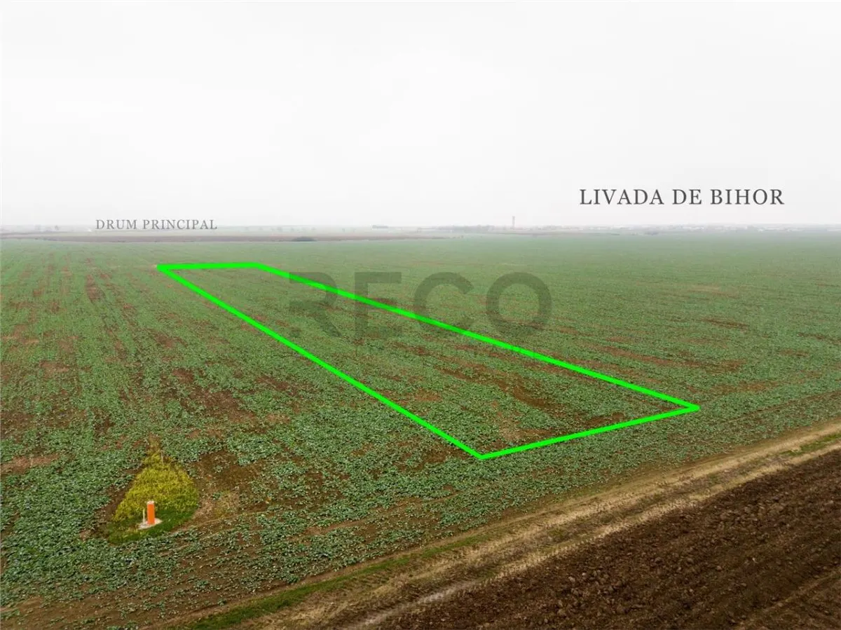 RECO Teren extravilan 5800 mp Livada de Bihor - foto 5