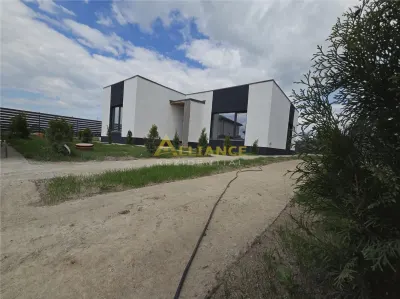 Casa parter- 375mp teren- incalzire pardoseala - Berceni