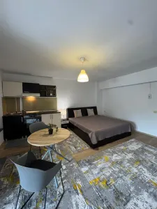Apartament cu o camera open space  - lângă facultăţi - Tudor V. - 390EUR - foto 11