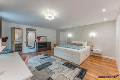 FILM& 3D! Vila high tech, cu semineu, jacuzzi, terasa, 7 camere, Central, Brasov - foto 22