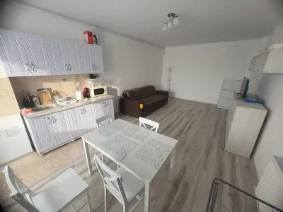 Inchiriere apartament  2 camere zona Vest - foto 7