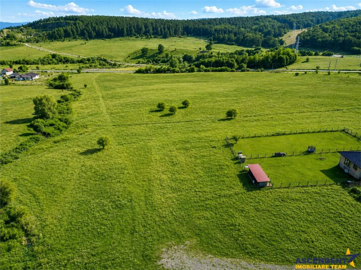 Teren intravilan cu PUZ, 500 mp, zona Belvedere, Sfantu Gheorghe - foto 3