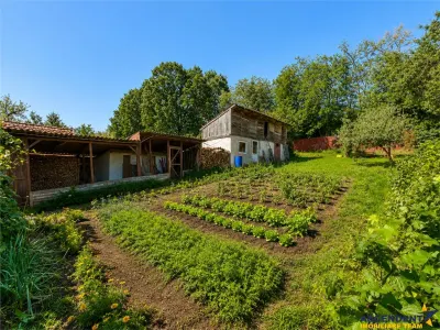 Casa primitoare in decor valoros, rodnic teren de 850mp, Ilieni, Covasna: FILM! - foto 4