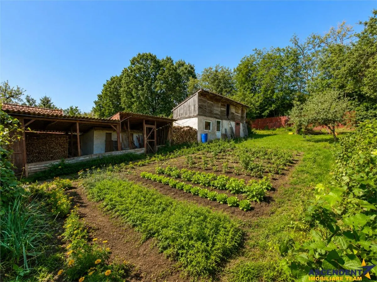 Casa primitoare in decor valoros, rodnic teren de 850mp, Ilieni, Covasna: FILM! - foto 4