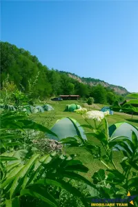 Transilvania Camping, domeniu de 14.400mp,Sanmarghita de Mures:2cladiri, apartamente,potential exceptional - foto 5