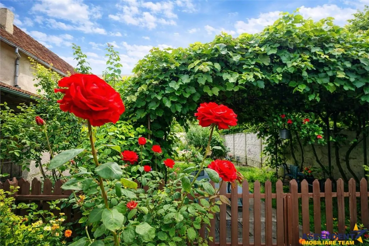 Casa cu vatra traditionala, gradina, garaj, facilitati, Codlea, Brasov - foto 1