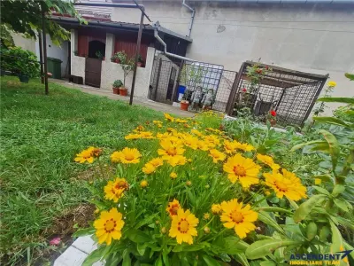 Casa cu vatra traditionala, gradina, garaj, facilitati, Codlea, Brasov - foto 19