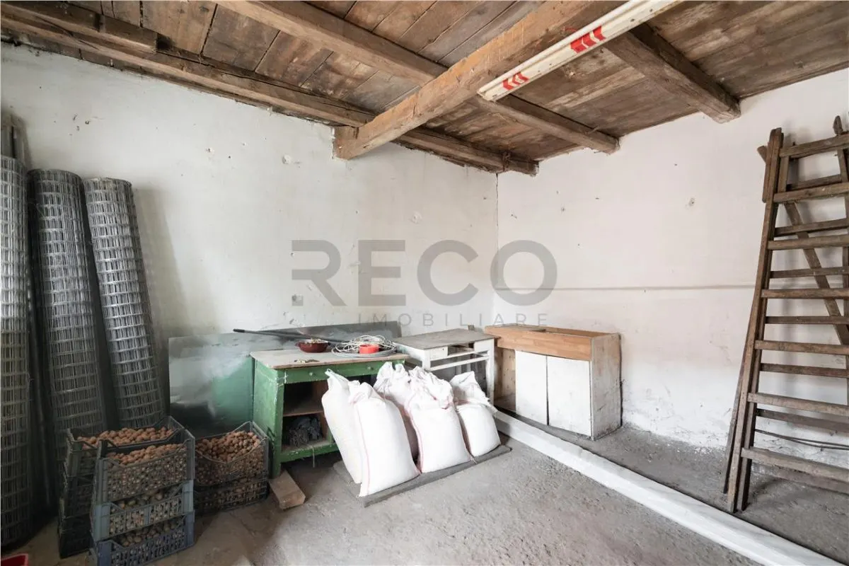 RECO Teren mare cu 2 case si front la 2 strazi in Tamaseu - foto 22