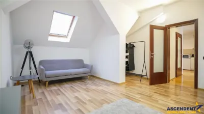 Rezidenta/ Pensiune/ Resedinta protocol, Central Brasov - foto 23
