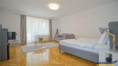 Rezidenta/ Pensiune/ Resedinta protocol, Central Brasov - foto 9
