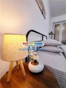 APARTAMENT DE 5 CAMERE DE INCHIRIAT ROMANA - foto 14