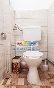 APARTAMENT DE 5 CAMERE DE INCHIRIAT ROMANA - foto 20