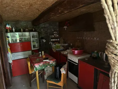 Casa Cocheta de vacanta, Dognecea - foto 15