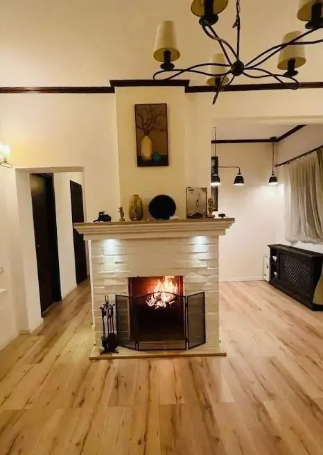 Vila Eleganta Dorobanti - foto 8