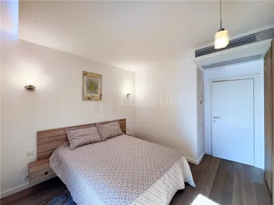 Apartament de inchiriat 2 camere One Herastrau Plaza - foto 11