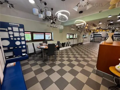 Spatiu Comercial + Casa rezidentiala +curte privata - foto 5