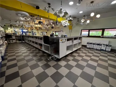 Spatiu Comercial + Casa rezidentiala +curte privata - foto 6