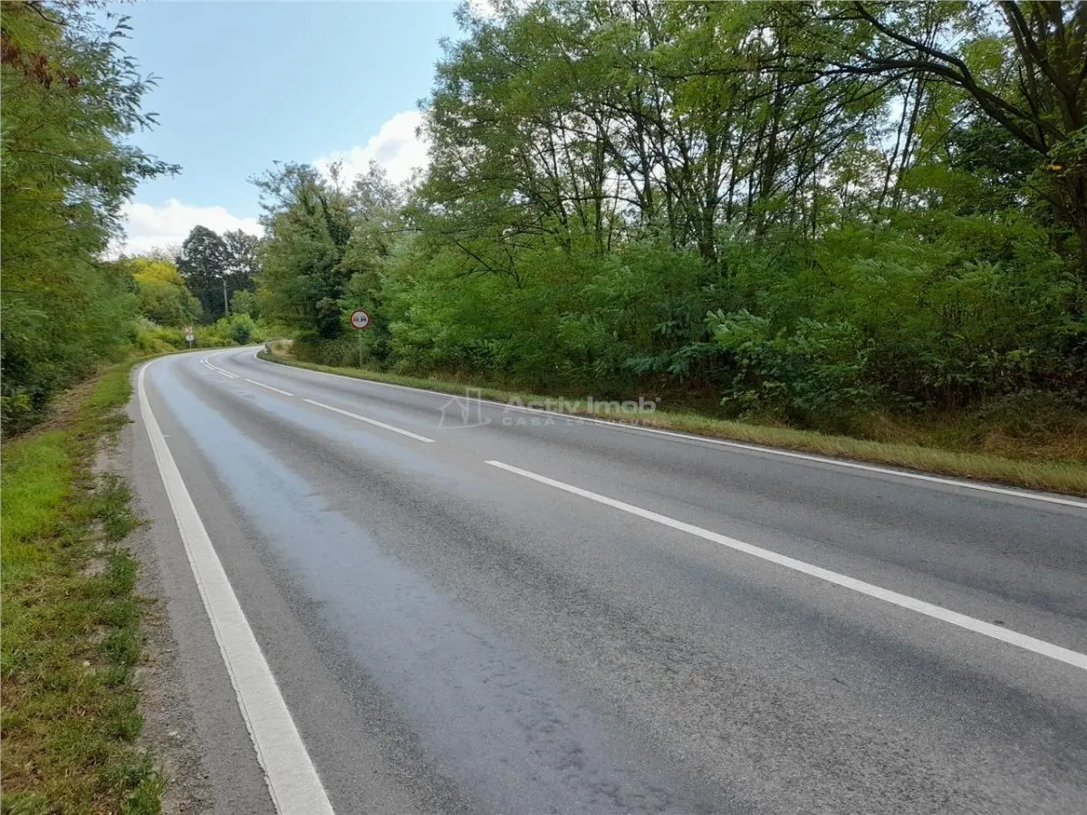 Resita,5561 mp.Teren INTRAVILAN Km.8,la Sosea 10 Euro mp.. - foto 1