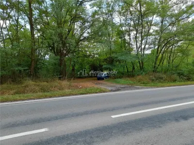 Resita,5561 mp.Teren INTRAVILAN Km.8,la Sosea 10 Euro mp.. - foto 3