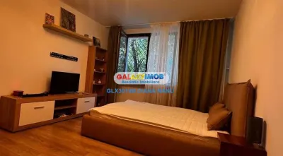 INCHIRIEZ GARSONIERA B-DUL TIMISOARA, ZONA MOINESTI - foto 4